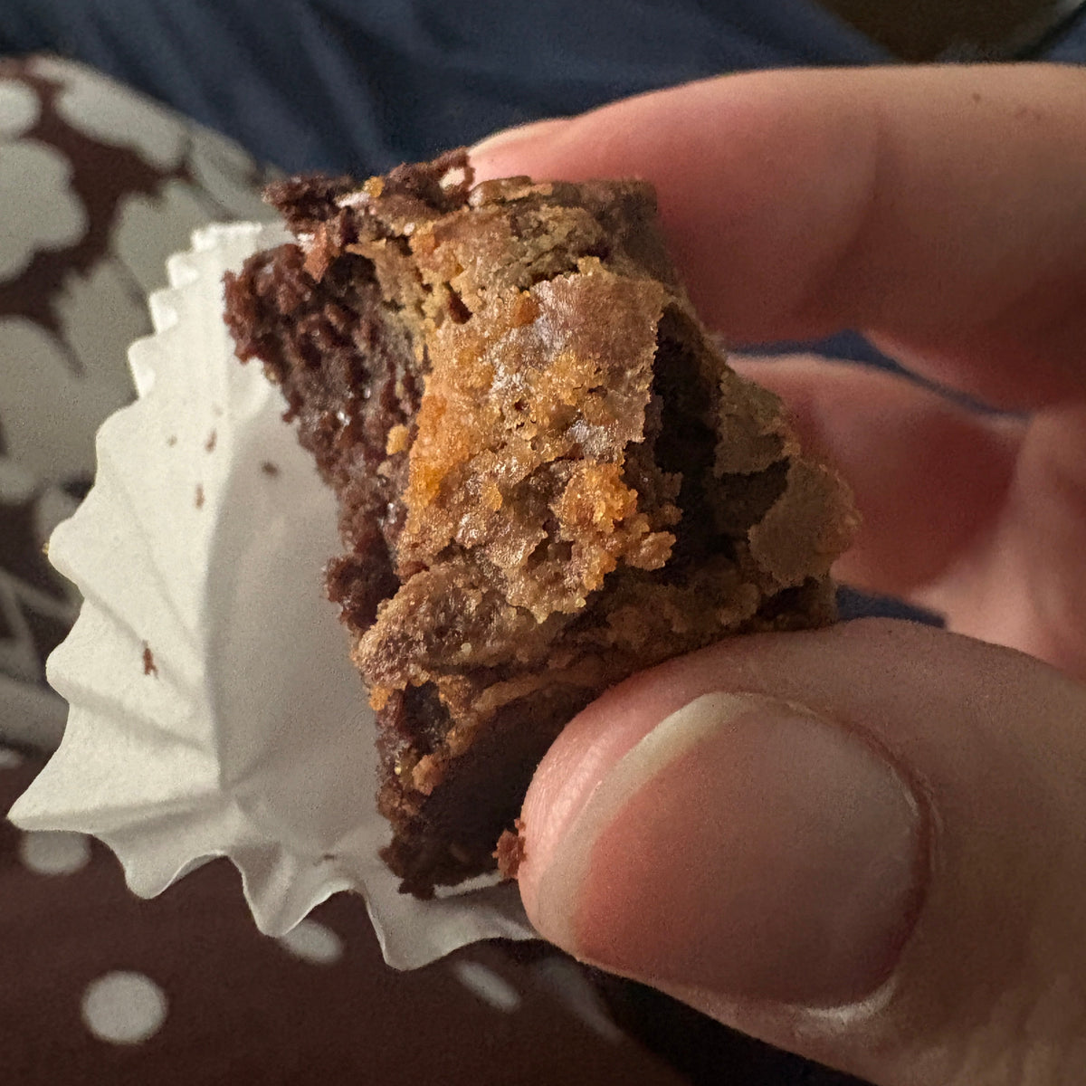 A close-up of a hand holding a bite-sized brownie with a white paper liner, set against a background of dark blue clothing and a brown patterned surface.